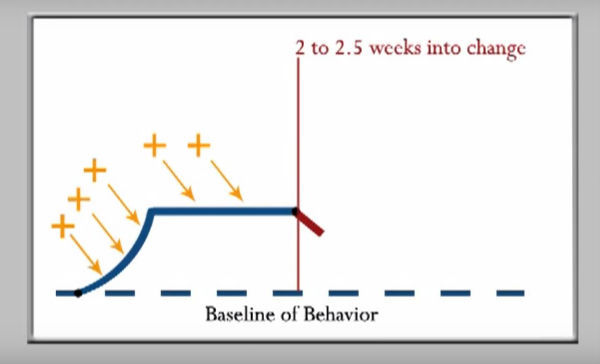 dynamics of change graph five