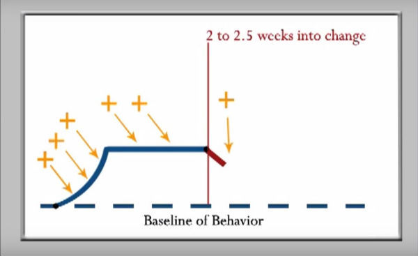 dynamics of change graph six