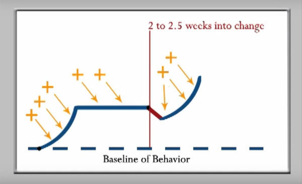 dynamics of change graph seven