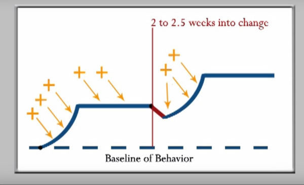 dynamics of change graph eight