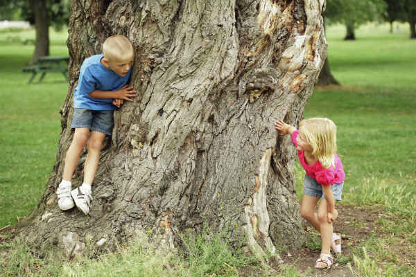 kids playing in the park